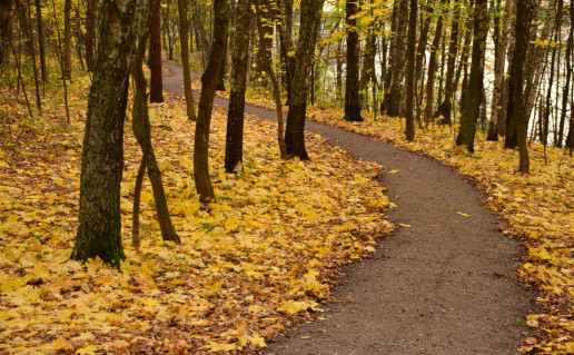 26_Žiegždriū atodanga (1).jpg